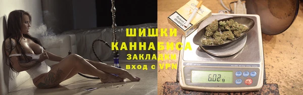 молекула духа Нягань