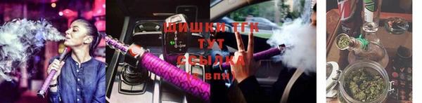 молекула духа Нягань