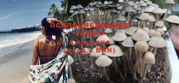 МДПВ Болотное