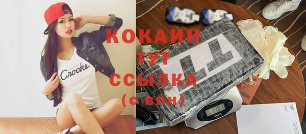 ГАЛЛЮЦИНОГЕННЫЕ ГРИБЫ Няндома