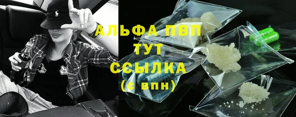 молекула духа Нягань