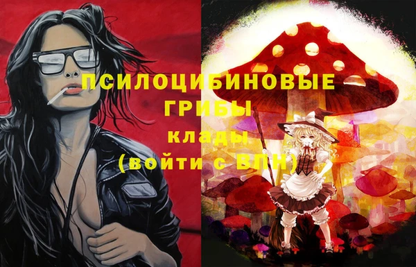 МДПВ Болотное
