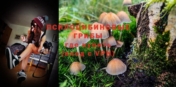 хмурый Новодвинск