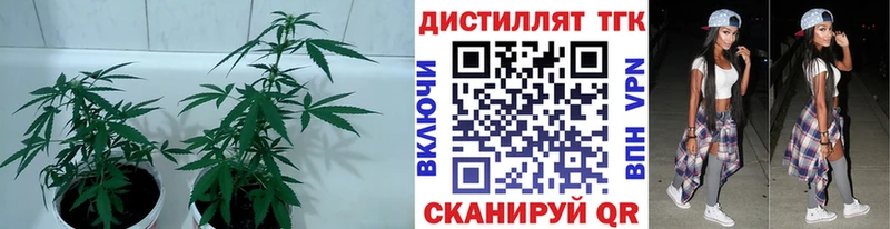 ТГК THC oil  Удомля 
