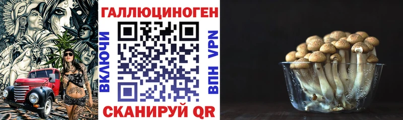 omg онион  Удомля  Псилоцибиновые грибы Cubensis  наркошоп 