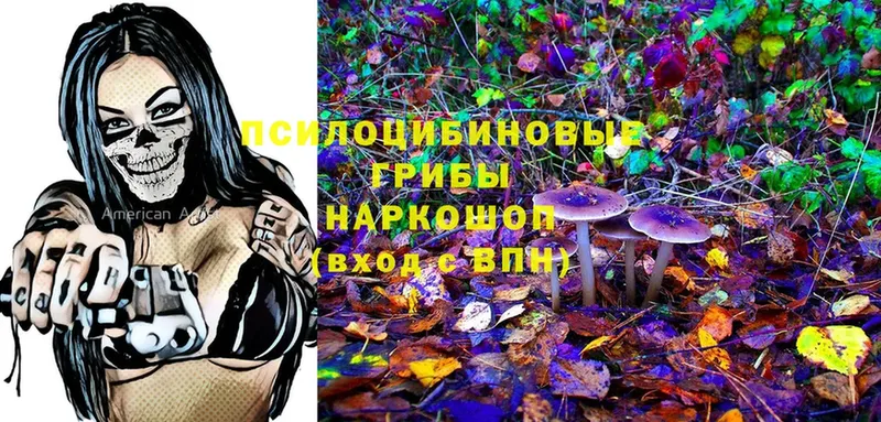 Галлюциногенные грибы Magic Shrooms  где купить наркотик  mega маркетплейс  Удомля 