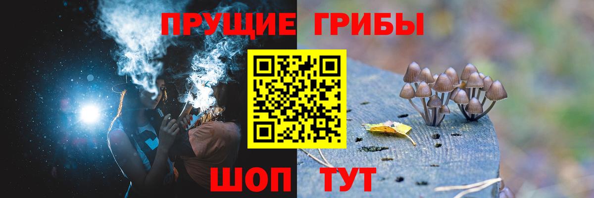 Псилоцибиновые грибы Cubensis  Вход с VPN  Псилоцибиновые грибы MAGIC MUSHROOMS  Удомля 